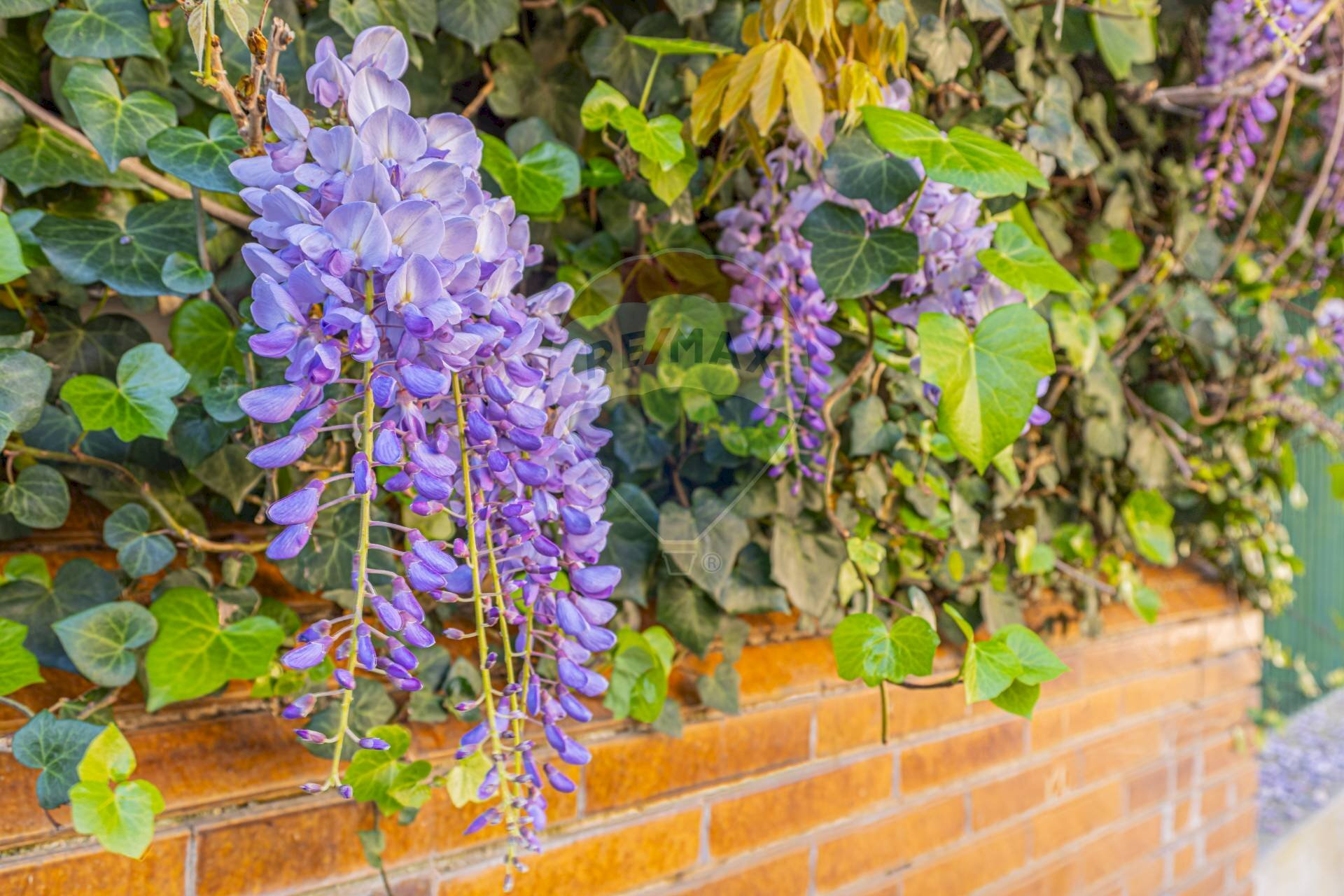 Dettagli - Apartment Via Gorizia
 
21, Sassari - photo 3