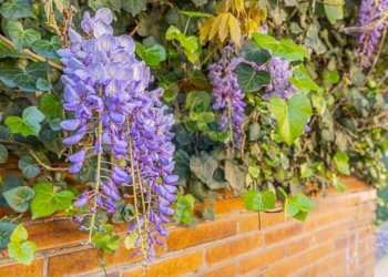 Dettagli - Appartamento Via Gorizia
 
21, Sassari - foto 3