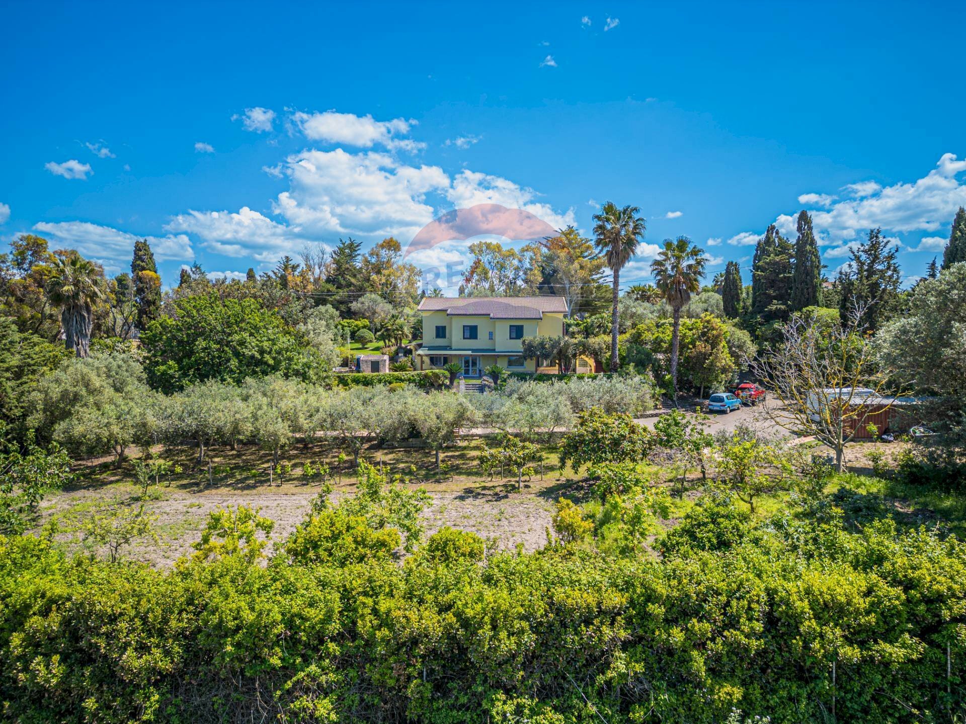 Giardino - Villa S.V. Li Buttangari, Tanca di Lu Frisciu, Sorso - foto 3