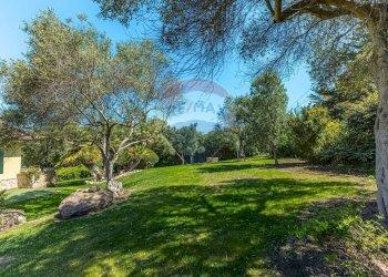 Giardino - Villa S.V. Li Buttangari, Tanca di Lu Frisciu, Sorso - foto 6