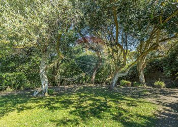 Giardino - Villa S.V. Li Buttangari, Tanca di Lu Frisciu, Sorso - foto 17