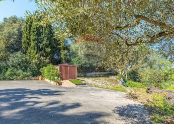 Giardino - Villa S.V. Li Buttangari, Tanca di Lu Frisciu, Sorso - foto 47