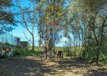 Giardino - Villa S.V. Li Buttangari, Tanca di Lu Frisciu, Sorso - foto 49