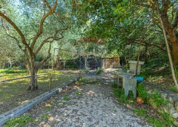 Giardino - Villa S.V. Li Buttangari, Tanca di Lu Frisciu, Sorso - foto 52