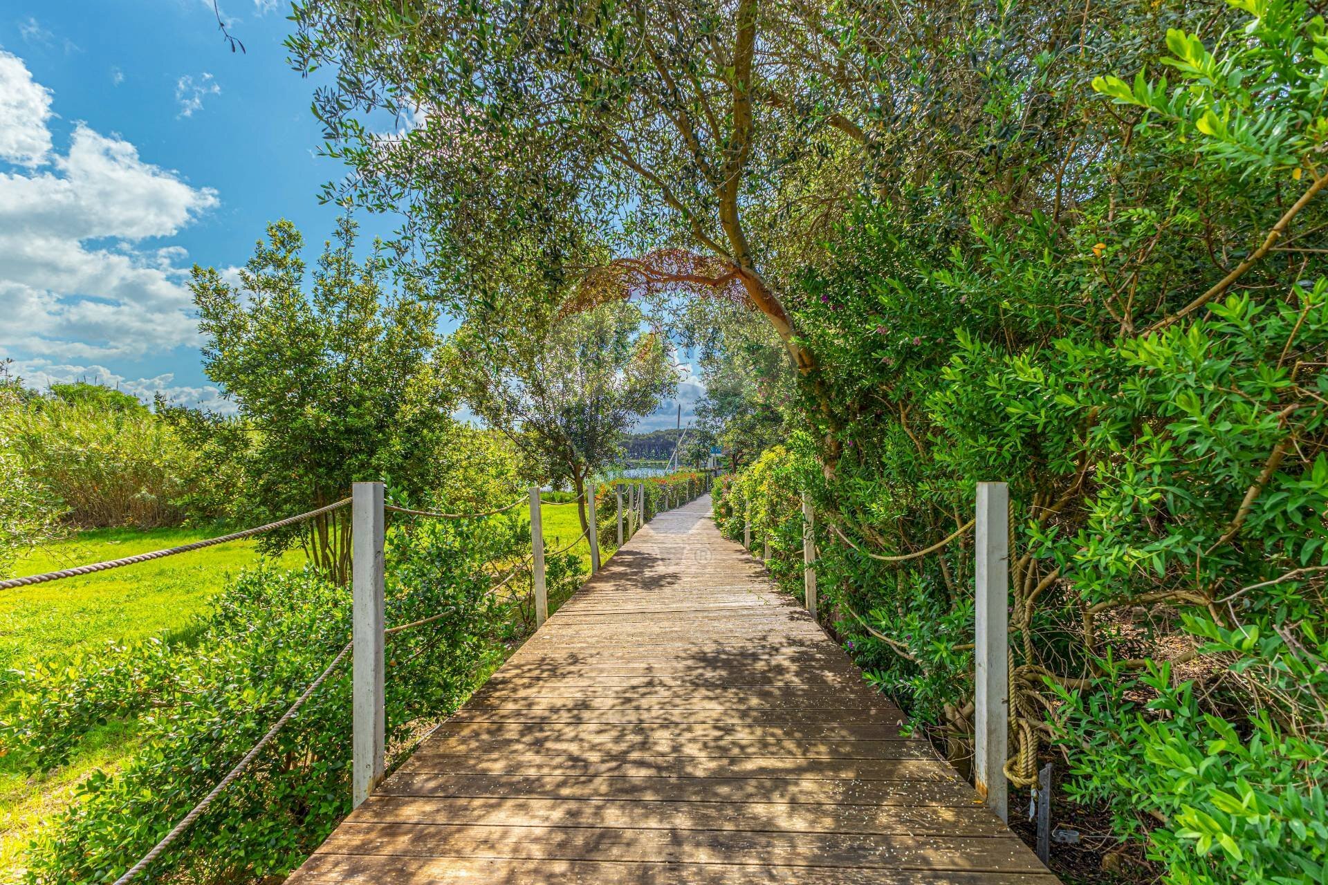 Giardino - Commercial Premises Strada del Calich
 
1, Alghero - photo 3
