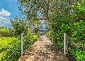 Giardino - Locale Commerciale Strada del Calich
1, Alghero - foto 3