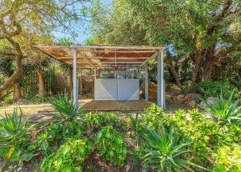 Giardino - Locale Commerciale Strada del Calich
1, Alghero - foto 16