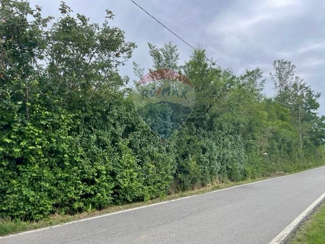 Giardino - Terreno agricolo Via Delle Roncaglie, Masio - foto 1