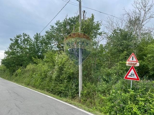 Giardino - Terreno agricolo Via Delle Roncaglie, Masio - foto 2