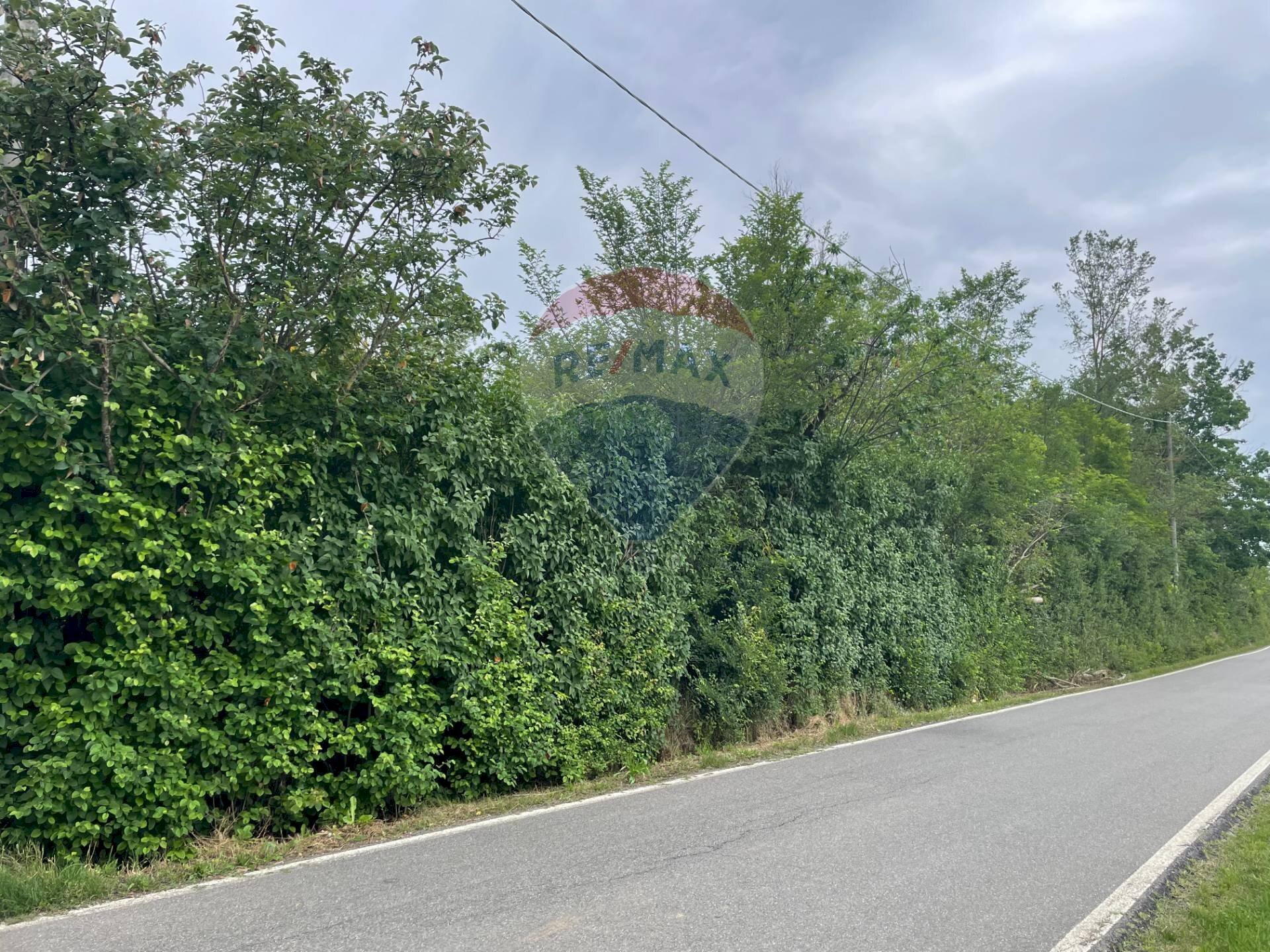 Giardino - Terreno agricolo Via Delle Roncaglie, Masio - foto 3