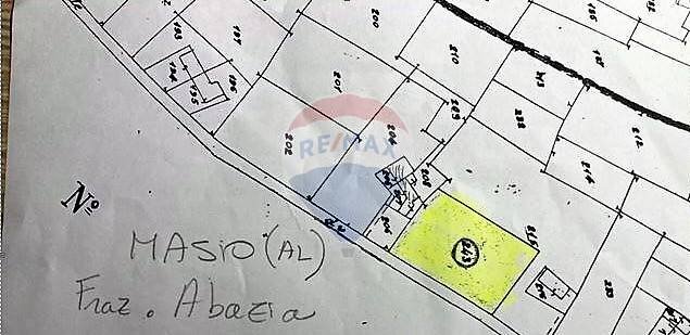 Pianta 2D - Terreno agricolo Via Delle Roncaglie, Masio - planimetria 1