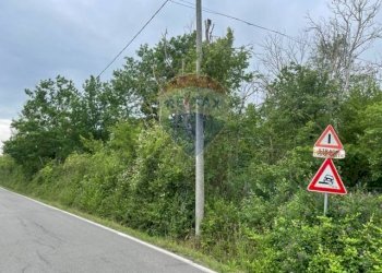 Giardino - Terreno agricolo Via Delle Roncaglie, Masio - foto 2