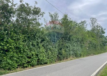 Giardino - Terreno agricolo Via Delle Roncaglie, Masio - foto 3