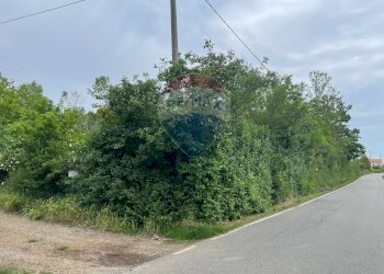 Giardino - Terreno agricolo Via Delle Roncaglie, Masio - foto 5