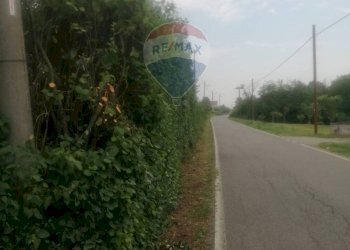 Giardino - Terreno agricolo Via Delle Roncaglie, Masio - foto 7