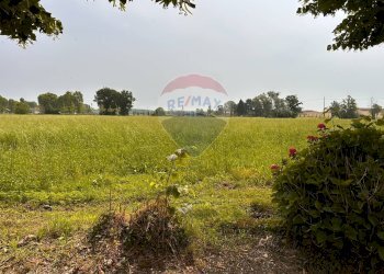 Giardino - Rustico Cascina Barcella, Robecco sul Naviglio - foto 75