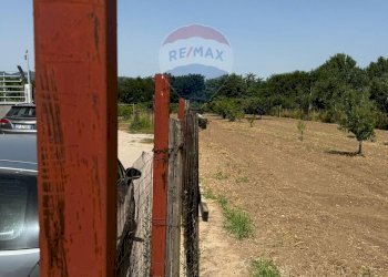 Vista delle montagne - Appartamento Via Pezzarotonda
 
20, Carinola - foto 24