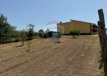 Giardino - Appartamento Via Pezzarotonda
 
20, Carinola - foto 25