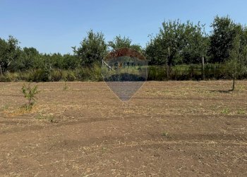 Giardino - Appartamento Via Pezzarotonda
 
20, Carinola - foto 26