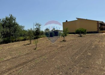 Giardino - Appartamento Via Pezzarotonda
 
20, Carinola - foto 27