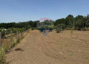 Giardino - Appartamento Via Pezzarotonda
 
20, Carinola - foto 28