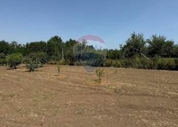 Giardino - Appartamento Via Pezzarotonda
 
20, Carinola - foto 29