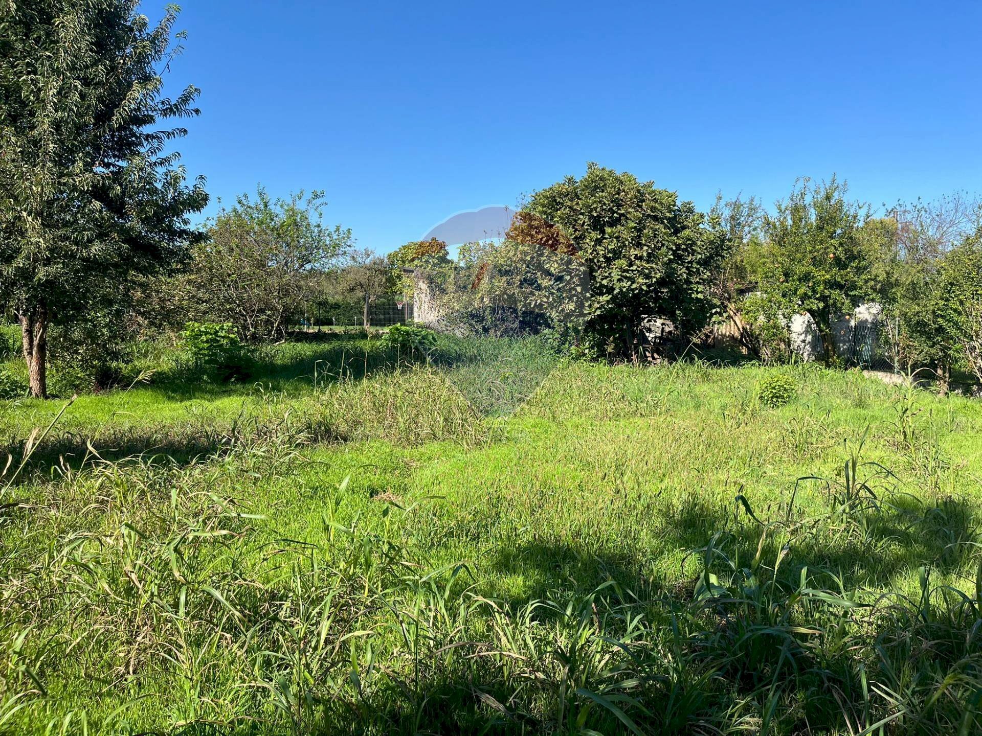 Giardino - Terreno edificabile via  Molino
 
62, Belgioioso - foto 1