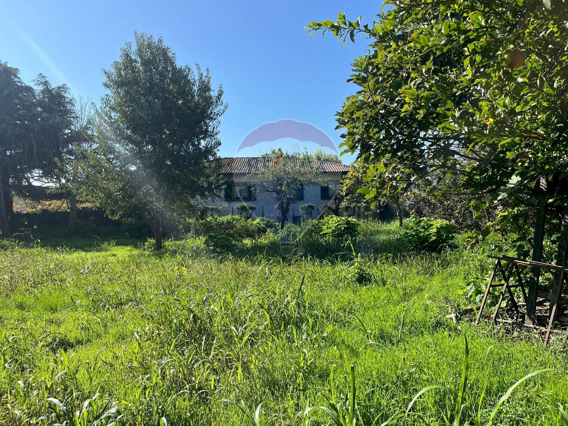 Giardino - Terreno edificabile via  Molino
 
62, Belgioioso - foto 3