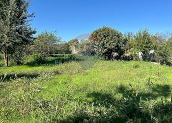 Giardino - Terreno edificabile via  Molino
 
62, Belgioioso - foto 1