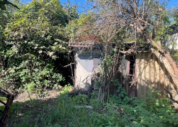 Giardino - Terreno edificabile via  Molino
 
62, Belgioioso - foto 4