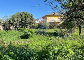 Giardino - Terreno edificabile via  Molino
 
62, Belgioioso - foto 5