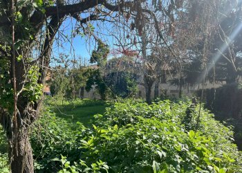 Giardino - Terreno edificabile via  Molino
 
62, Belgioioso - foto 7