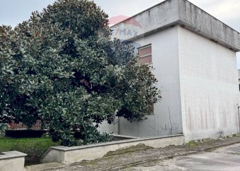 Casa all\'aperto - Quadrilocale Corso Umberto I Parco Sant'Angelo
 
Snc, Carinola - foto 3