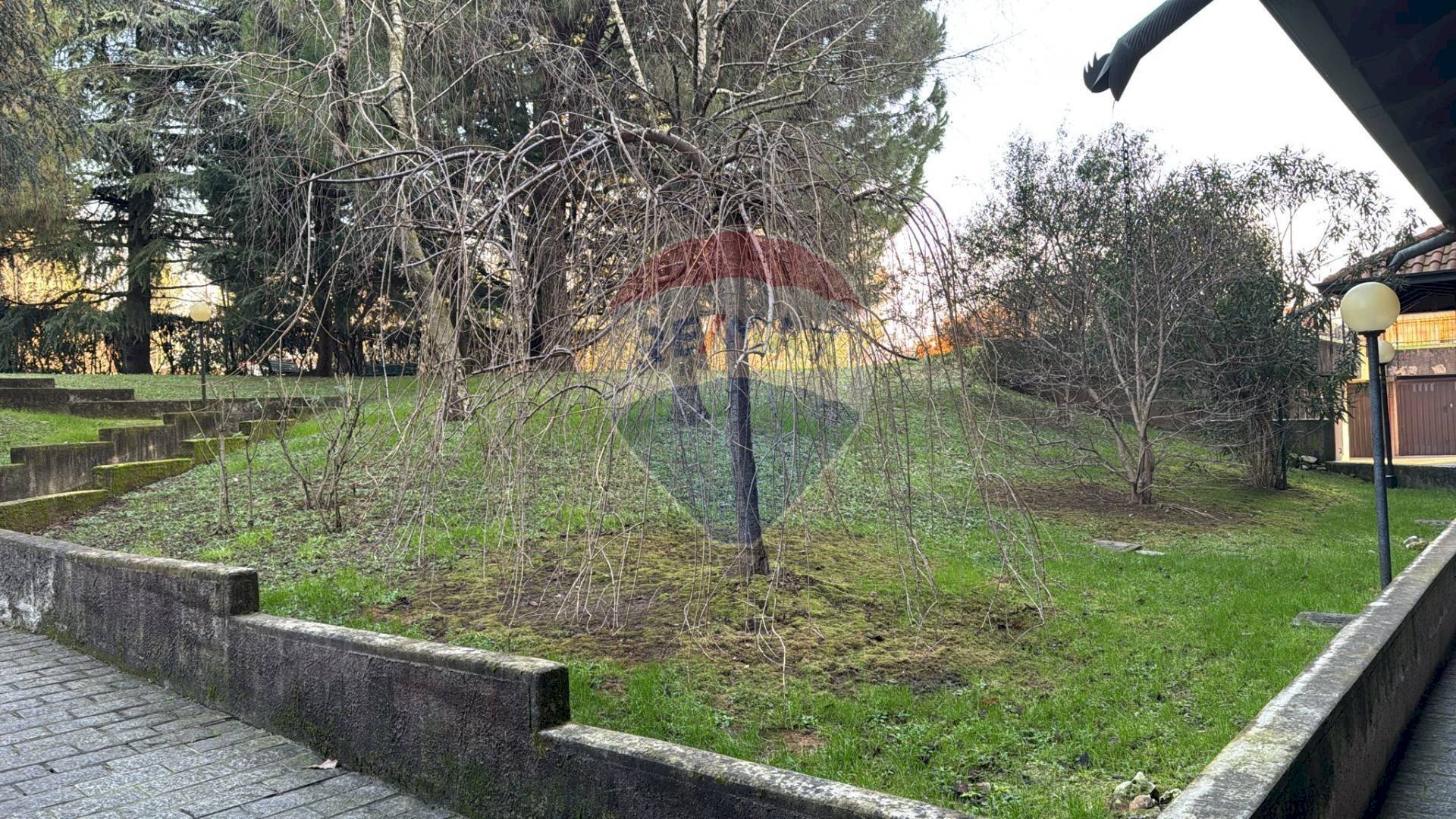 Giardino - Monolocale Via San Martino
 
67, Rho - foto 2