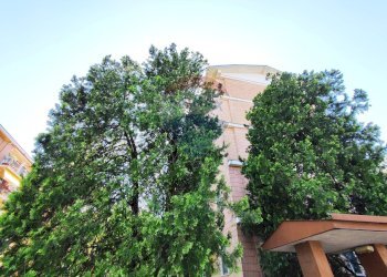 Edificio all\'aperto - Quadrilocale Via Alessandro Tonso
 
92, Alessandria - foto 20