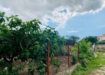 Foto 3 - Terreno edificabile VIA CARMINE VECCHIO, Lucera - foto 3