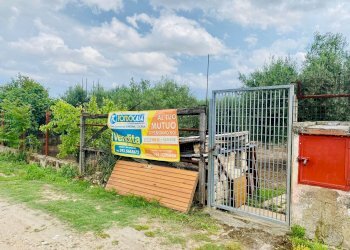 Foto 4 - Terreno edificabile VIA CARMINE VECCHIO, Lucera - foto 4