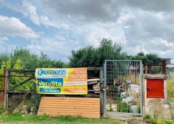 Foto 6 - Terreno edificabile VIA CARMINE VECCHIO, Lucera - foto 6