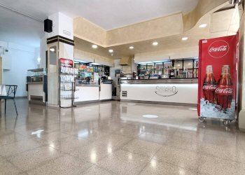 Foto 3 - Attività Commerciale VIALE RAFFAELLO SANZIO
 
SNC, Lucera - foto 3