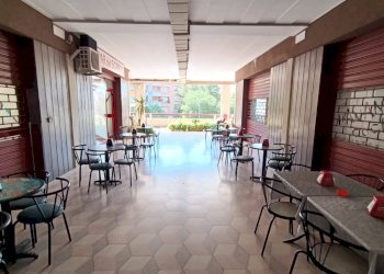 Foto 7 - Attività Commerciale VIALE RAFFAELLO SANZIO
 
SNC, Lucera - foto 7