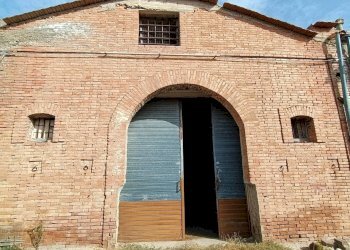 Foto 3 - Capannone Località Montaratro
 
SNC, Lucera - foto 3