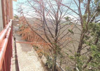 Foto 12 - Villa Contrada Alberona
 
SNC, Lucera - foto 12