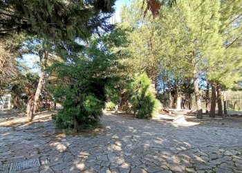 Foto 27 - Villa Contrada Alberona
 
SNC, Lucera - foto 27