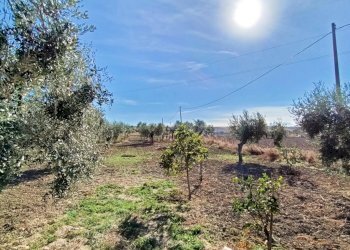 Foto 28 - Villa Contrada Alberona
 
SNC, Lucera - foto 28