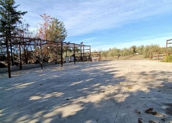 Foto 42 - Villa Contrada Alberona
 
SNC, Lucera - foto 42