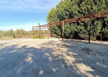 Foto 43 - Villa Contrada Alberona
 
SNC, Lucera - foto 43