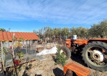 Foto 44 - Villa Contrada Alberona
 
SNC, Lucera - foto 44