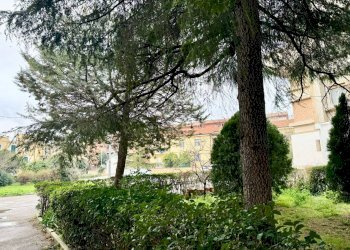 Foto 28 - Appartamento VIA CARLO CORRADO
 
6, Lucera - foto 28