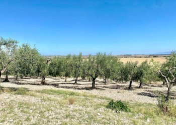 Foto 1 - Agricultural land LOCALITA' SAN GIUSTO, Lucera - photo 1