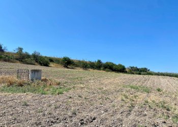 Foto 5 - Agricultural land LOCALITA' SAN GIUSTO, Lucera - photo 5